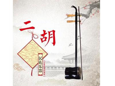 招聘达州二胡家教老师